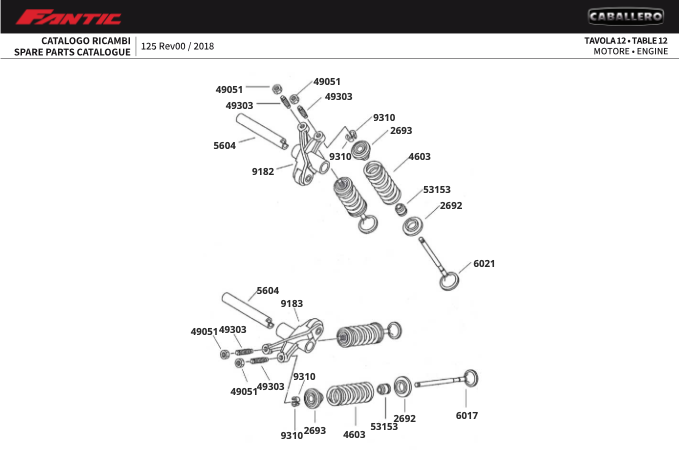 QsMrSQhiKo_12 - moteur (CABALLERO 125 MY 2018 - SCRAMBLER).png